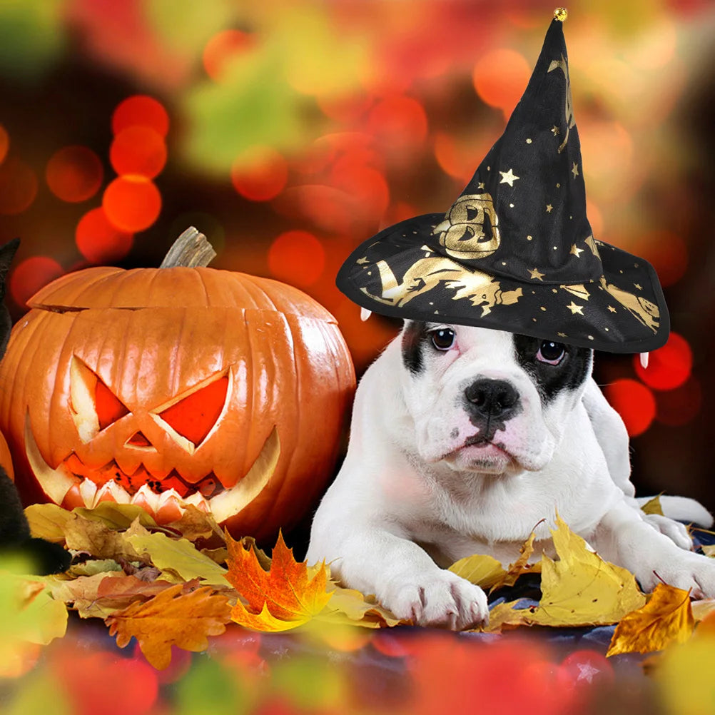 the WIZARD DOG - Pet Clothing - Decoration Cloak Wizard Hat for Cats & Dogs, Costume Party Outfit, Dog Funny Accessories