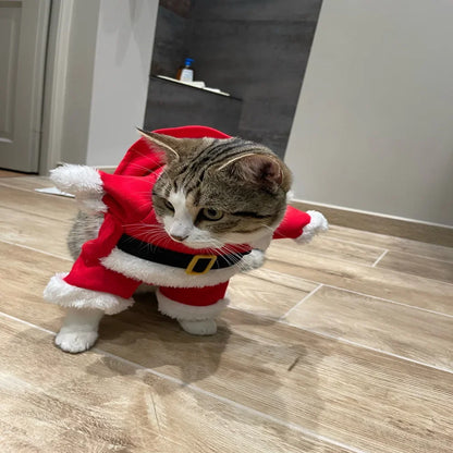 the SANTA PAWS HOLIDAY PET COSTUME - Christmas Dog Santa Claus Outfits for Small/Medium Dogs, Funny Cosplay Costume, Cat/Dog Clothing, Dressed Up Yorkshire, Pug Pet Clothes