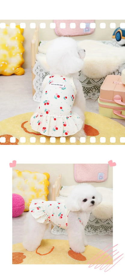 Cotton INS Cherry Pet Puppy Skirt Dog Clothes Small Dog Pomeranian Dresses Teddy Summer Floral Suspender Skirt Puppy Clothing