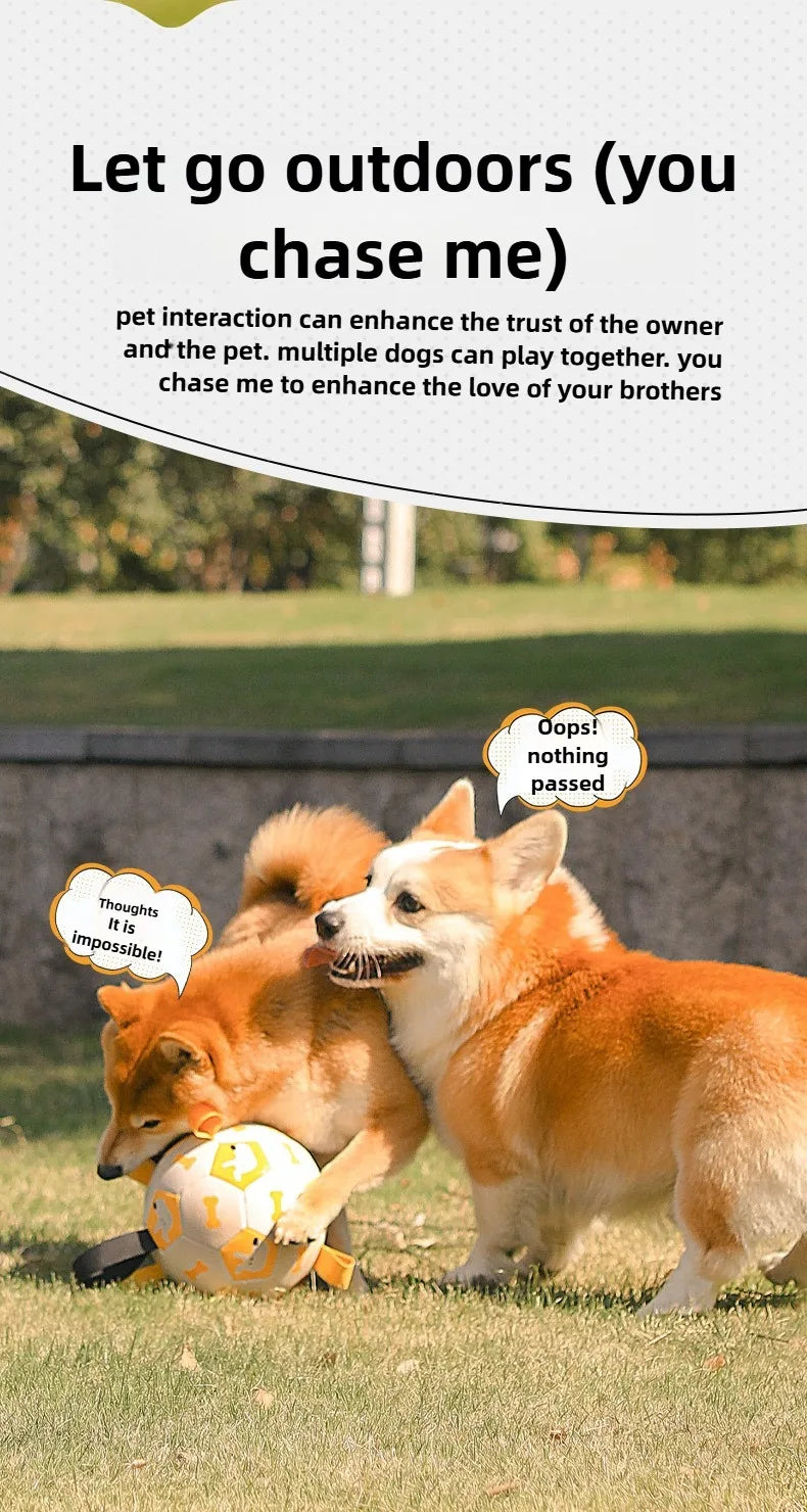 Dog outdoor chewing toy that is durable, bite-resistant and makes sound - inflatable football toy