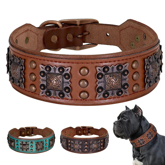 the APEX ARMOR COLLAR - Cool Spiked Dog Collar for Medium/Large Dogs, Genuine Leather, Pitbull Bulldog, Adjustable Pet Accessories, Collars Necklace