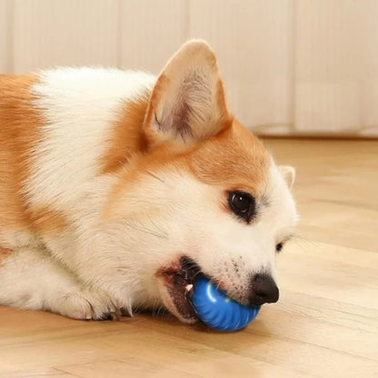 Pet Toy Ball Automatic Moving Dog Toy Ball Smart USB Jumping Rotating Interactive Dog Chew Toy Ball for Puppy Pet Supplies