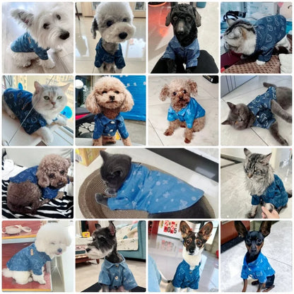 Luxury Dog Clothes Pet Dog Shirt for Small Dogs Spring Warm Puppy Costume Cute Print Cat Shirt Chihuahua Dog Clothes Pet Outfits