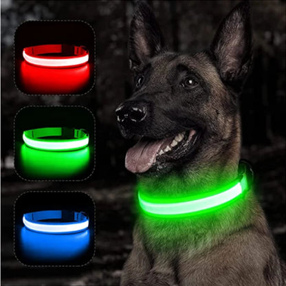 the LUXEGLOW LED SAFTERY COLLAR - USB Charging Glowing Dog Collar with Pendant, Detachable Luxury LED Light, Bright for Small Dogs/Cats, Night Safety Collar