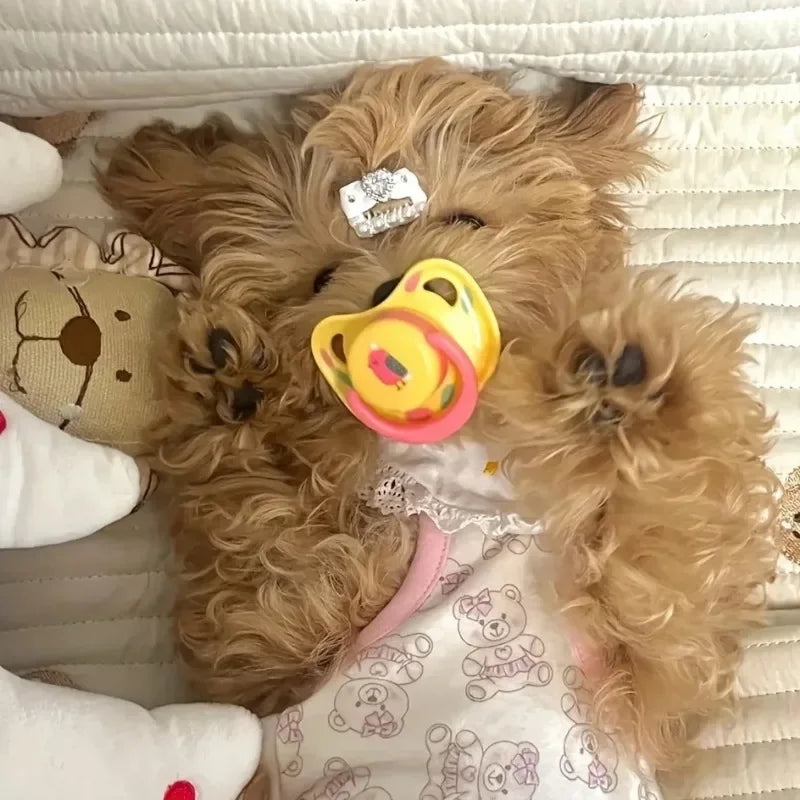 the CALMCHEW PACIFIER - 1PC Pet Silicone Pacifier, Pet Calming Pacifier, Chew Toy, Food Grade Silicone Supplies Dogs, Accessories Pet Products