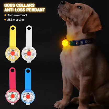 the LUMIPAWS RECHARGEABLE SAFETY LIGHT - LED Pet Tracking Luminous Pendant, Bright Light Dogs, Collars Dog Wear, Loss, Weatherproof LED Safety Light, USB Rechargeable Safety