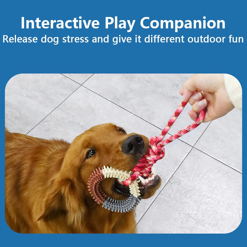 1PC Supet Interactive Training Pet Toy Ring Spiked Ring Dog Teeth Cleaning Pet Supplies Dog Teeth Grinding Durable toys