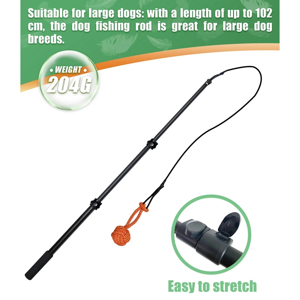 Dog Toy Flirt Pole Teeth Grind Training Extendable Interactive Funny Chasing Tail Teaser Exerciser for Pets Outdoor Playing Toys