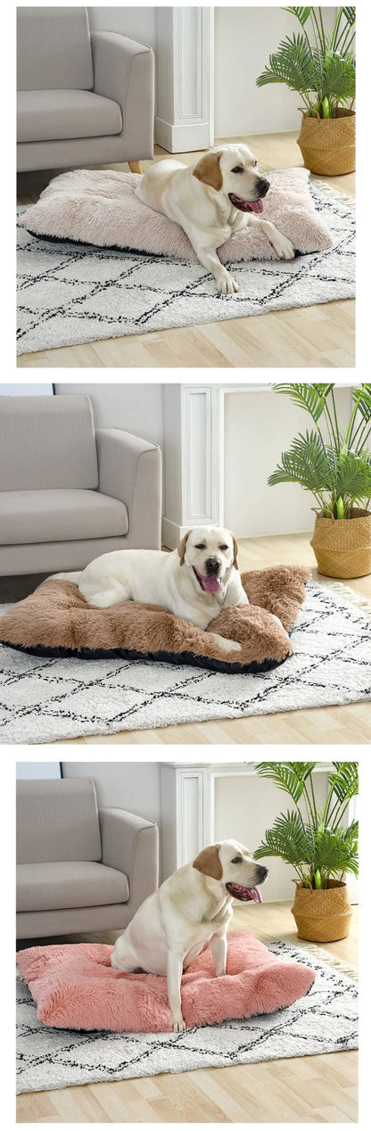 Soft Dog Beds House Soft Long Plush Best Pet Dog Bed for Dogs Basket Pet Products Cushion Cat Bed Cat Mat Animals Sleeping Sofa