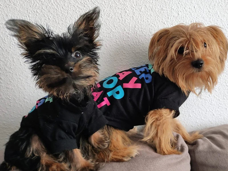 the TINYTAIL COTTON SHIRT - Cheap Cotton Puppy Dog T-Shirt for Small Dogs, Hot Sale Print Pet Clothes, Yorkshire, Pomeranian, Pug, Cat Shirts