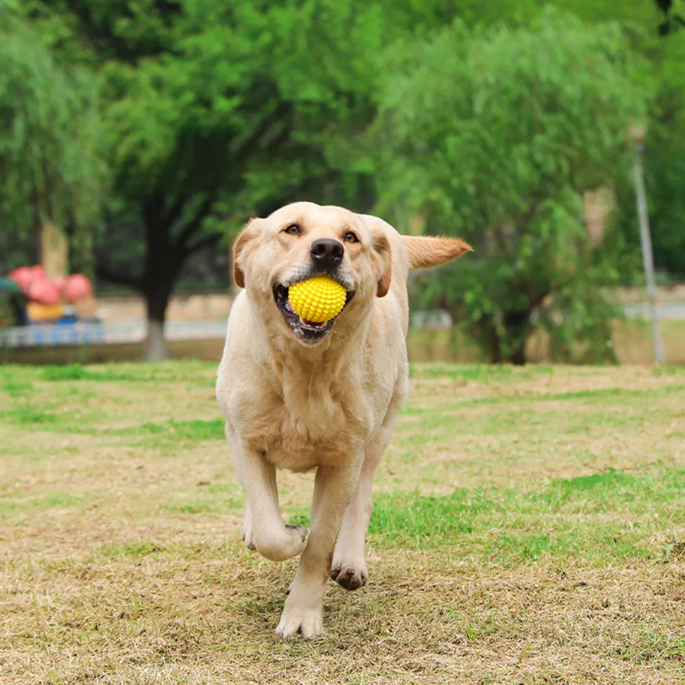 Pet Chew Toy Squeaky Corn Ball, Durable Dog Chewing Ball for Teeth Grinding & Cleaning, Puppy Boredom Relief Pet Supplies
