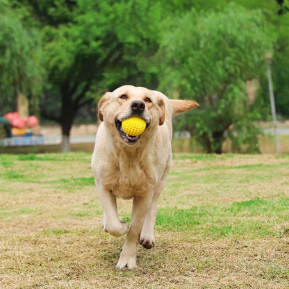 Pet Chew Toy Squeaky Corn Ball, Durable Dog Chewing Ball for Teeth Grinding & Cleaning, Puppy Boredom Relief Pet Supplies