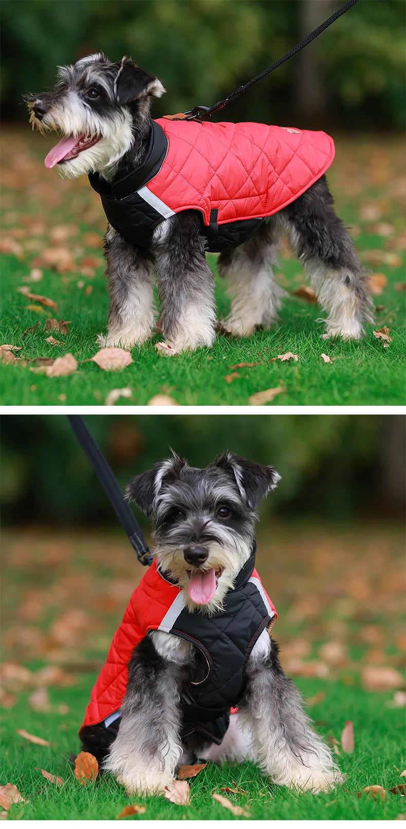 the ARTICSTRIDE WINTER COAT - Large Dog Jacket, Waterproof Pet Clothes for Medium Dogs, Winter Warm Big Dog Coat, French Bulldog Costume, Labrador/Husky Outfits