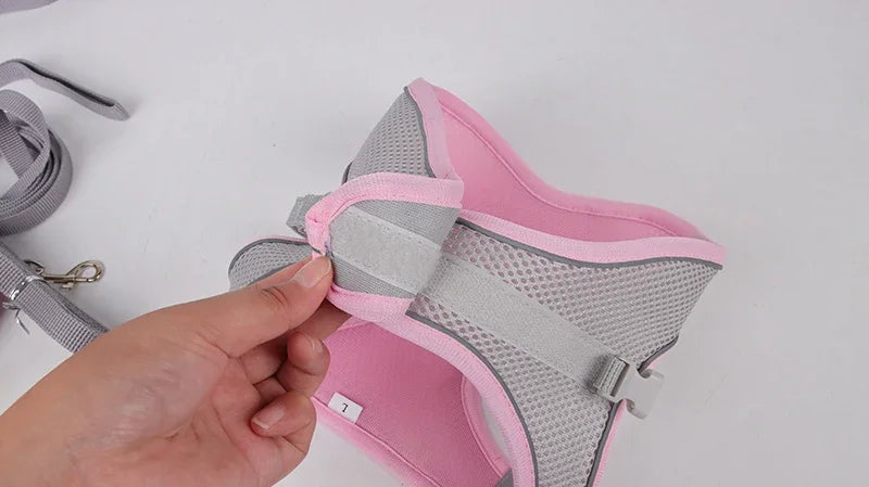 the TINYTREK HARNESS SET - Puppy Harness Set, Dog Accessories, Adjustable Puppy and Cat Harness Vest, French Bulldog, Chihuahua, Small Dog Collar, Pet Leash Dogs