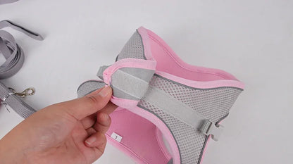 the TINYTREK HARNESS SET - Puppy Harness Set, Dog Accessories, Adjustable Puppy and Cat Harness Vest, French Bulldog, Chihuahua, Small Dog Collar, Pet Leash Dogs