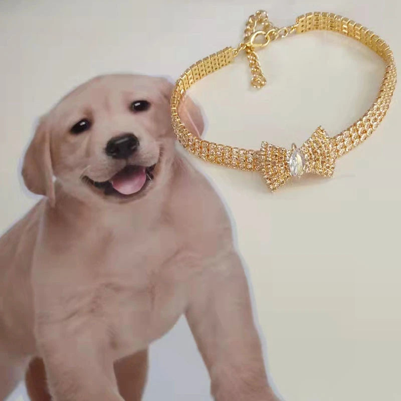 the BELLEBOW ZIRCON COLLAR - Zircon Bow Tie Chihuahua Dog Collar, Rose Gold Lobster Button Cat/Dog Necklace with Package Box, Adjustable All Season Pet Accessories