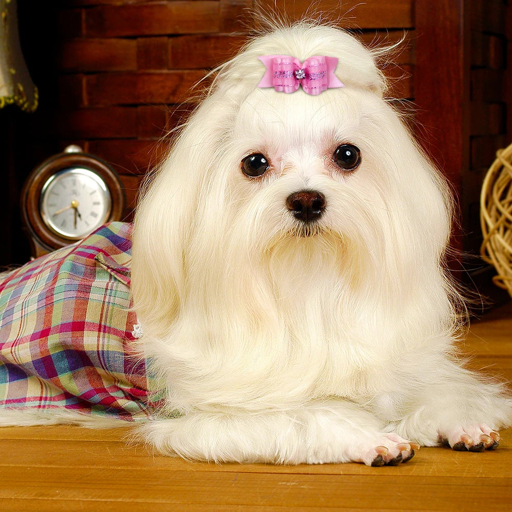 20pcs Pet Dog Cute Hair Bows with Rhinestone&Flowers Ribbon Bows Dog Hair Accessory Dog Groomining Pet Supplies