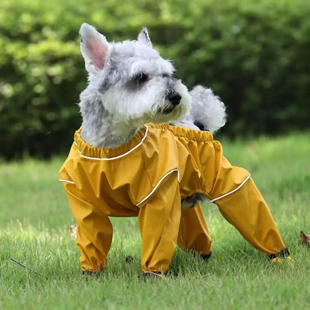 the STRIDEGUARD DOG LEGGINGS - Fashion PU Pet Pants, Anti-Slip Waterproof Puppy Costume Leggings, Dog Costumes for Outdoor Activity