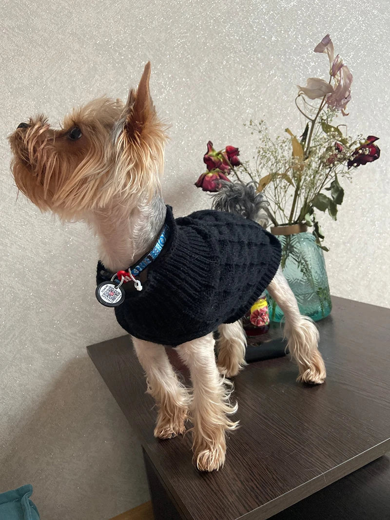 Dog Sweaters for Small Dogs Winter Warm Dog Clothes Turtleneck Knitted Pet Clothing Puppy Cat Sweater Vest Chihuahua Yorkie Coat
