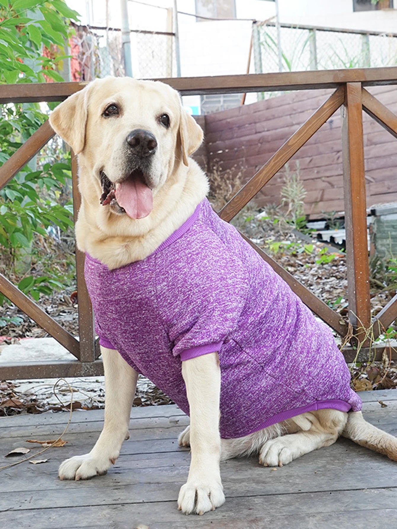 Dog Sweatshirts For Medium and Large Pet Golden Satsuma Huskies Border Collies Autumn and Winter Clothes Pet Supplies Clothing