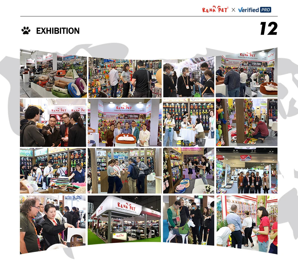 Manufacturer Wholesale Summer Dog Tent Waterproof Breathable Square Shape Classic Style Foldable with Packing