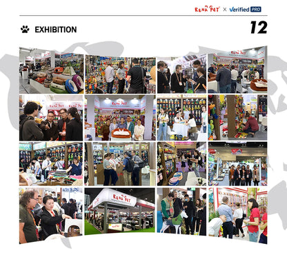 Manufacturer Wholesale Summer Dog Tent Waterproof Breathable Square Shape Classic Style Foldable with Packing