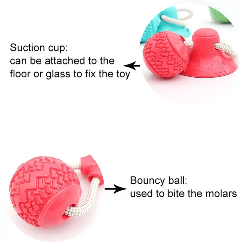 Dog Toys TPR Ball Teeth Grinding Cleaning Teeth Pet Play Suction Cup Elastic Pull Rope Chew Toy Dog Supplies