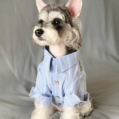 the GQ DOGGY - Pet Clothes, Pet Puppy/Cat Thin Striped Shirt