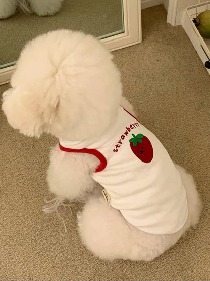 Comfortable White Dog Shirt Embroidery Teddy Pet Cat Sunscreen Shirt Puppy T-Shirt Cat Vest Small Dog Summer Clothes
