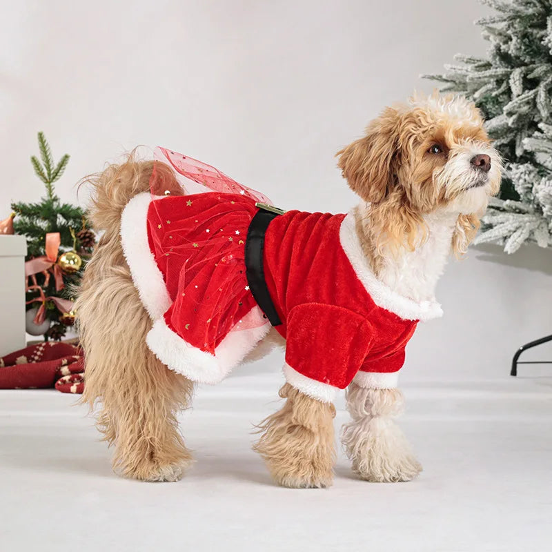 the CHRISTMAS BELLE DRESS - Christmas Red Mesh Dog Dress with Bow Headpiece, Festive Outfit for Small & Medium Dogs