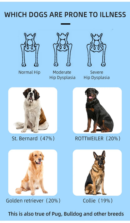 Pets Dogs High Quality Hind Leg Guard Recovery Orthodontic Band for Pet Dog Protective Hip Joint Correction Restore Pet Supplies