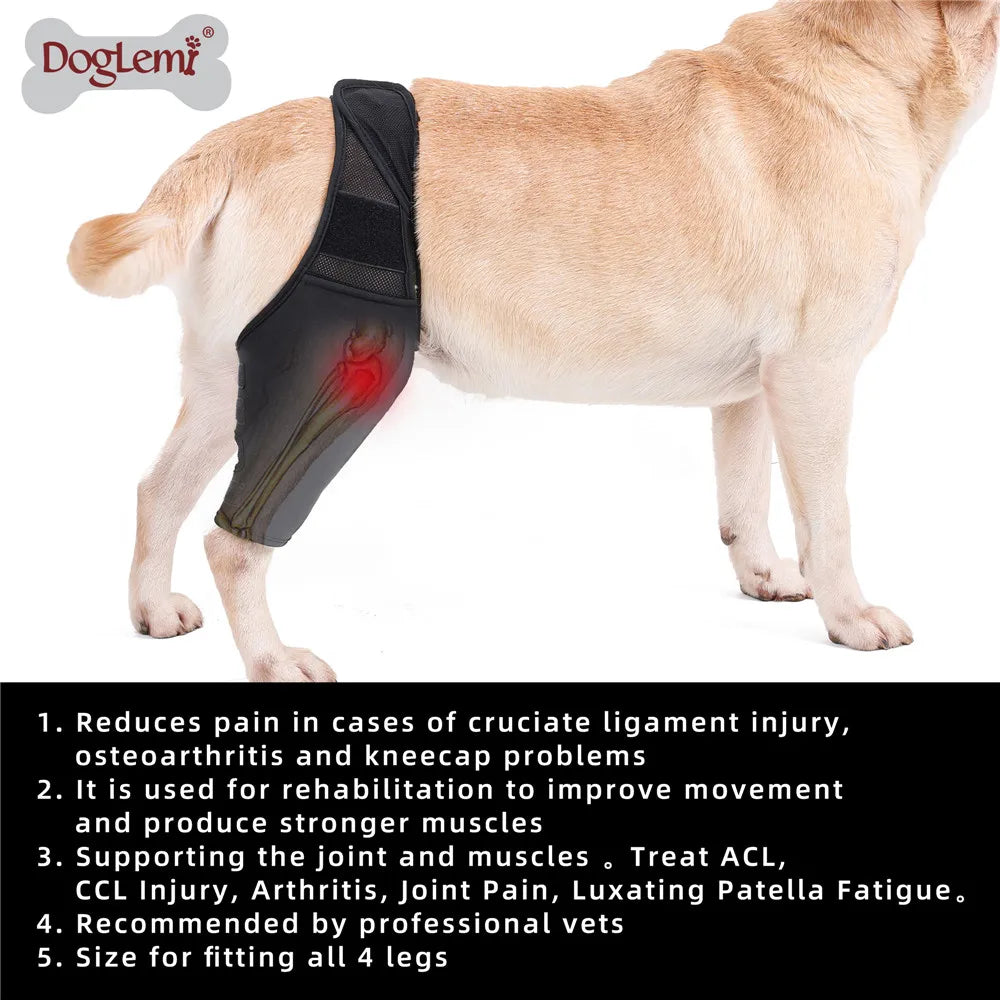 Dog Knee Brace Injury Recovery Fixed Support Brace Pet Leg Pain Relief Joint Wrap Brace For Elderly Disabled Injured Dogs