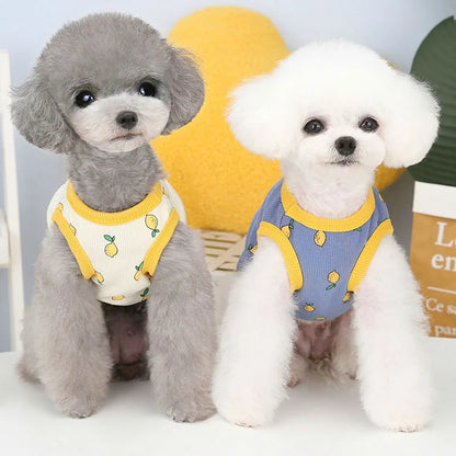 Lemon Pattern Dog Vest Shirt Pet Clothes Beige Blue Costume Sleeveless Hoodies Vests For Small Dogs Chiwawa Puppy Sweatshirt XXL