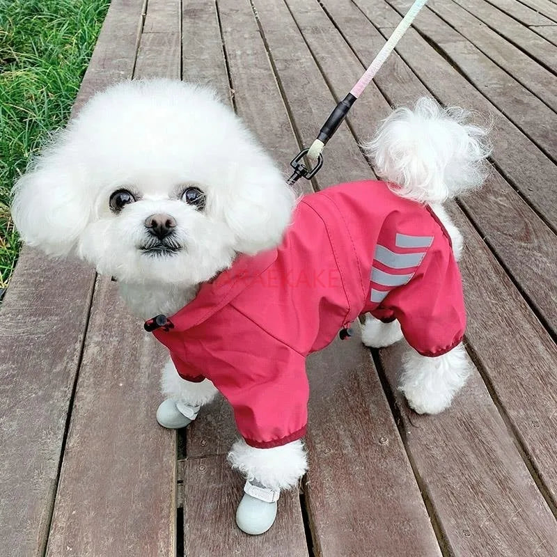 the RAINGUARD FOUR-LEG RAINCOAT - Little Dog Raincoat, Four-Legged Waterproof, Teddy Bear, Schnauzer, Small Dog Pet, Walking Dog in Rainy Days