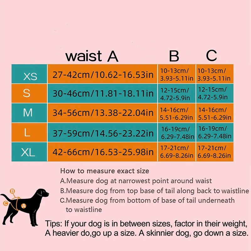 Female Dog Skirt Edge Physiological Pants Washable And Reusable Anti-Harassment Pet Dog Diaper Pants