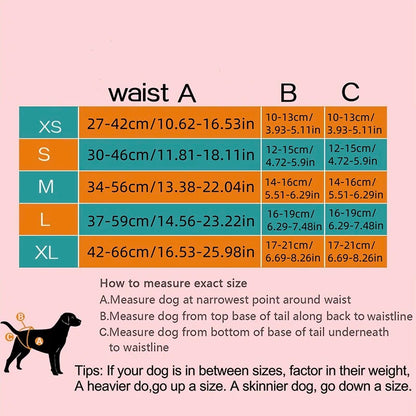 Female Dog Skirt Edge Physiological Pants Washable And Reusable Anti-Harassment Pet Dog Diaper Pants