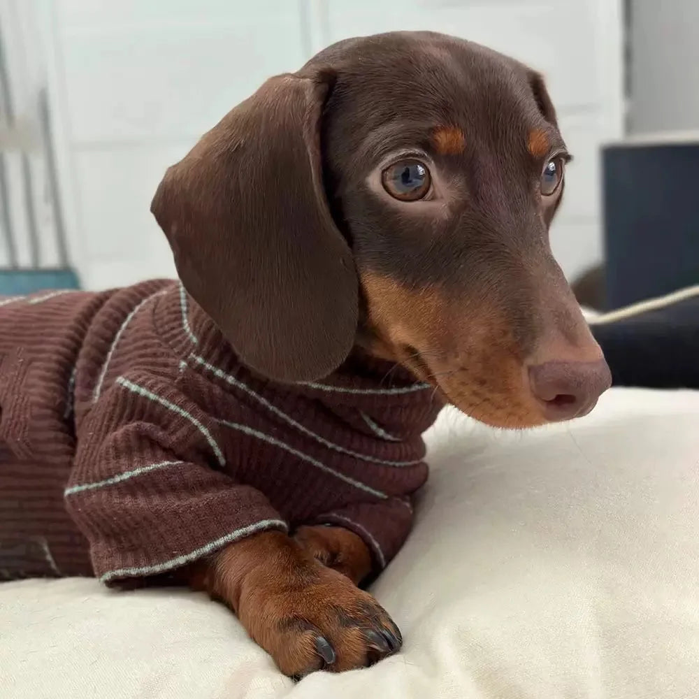 Brown Stripe 2-legged Dachshund Dog Clothes Warm Elastic Sweater for Wiener Dog Clothes Spring Dog Costumes for Sausage