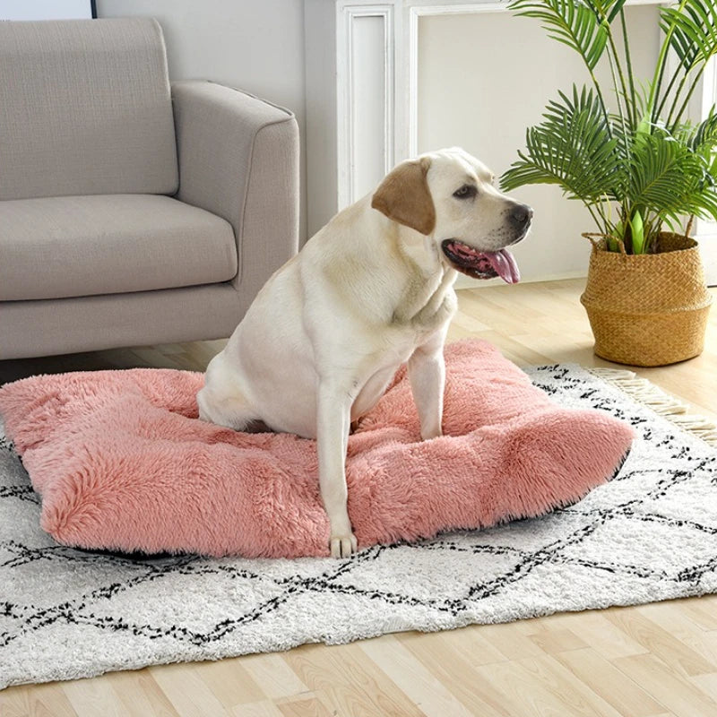 Soft Dog Beds House Soft Long Plush Best Pet Dog Bed for Dogs Basket Pet Products Cushion Cat Bed Cat Mat Animals Sleeping Sofa