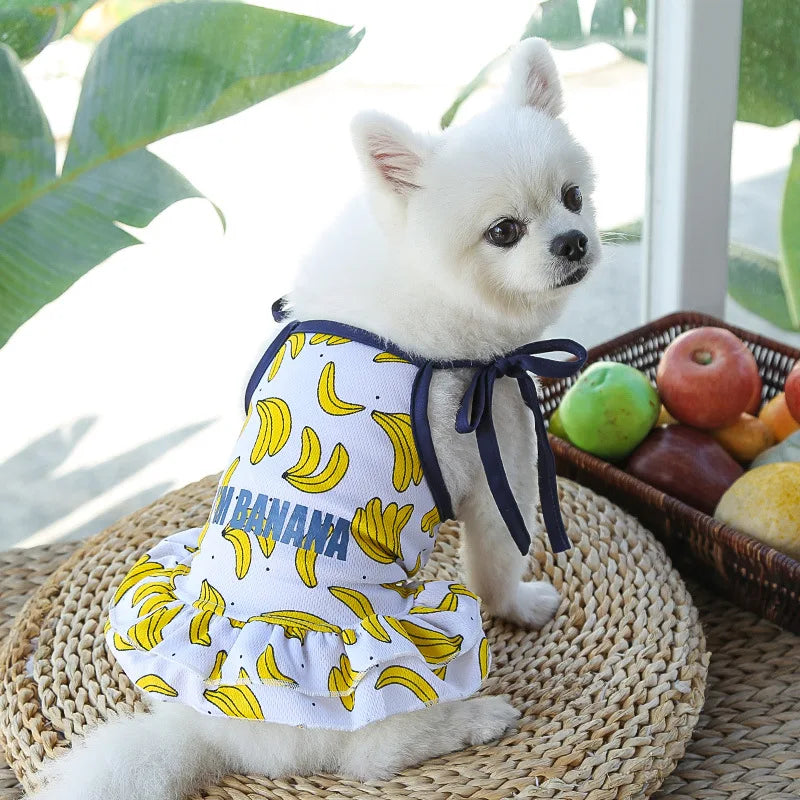 Puppy Kitten Dog Cat Pet Cartoon Spring Summer Autumn Cotton Clothes Clothing Vests Coats Jackets Shirt Dresses Costume