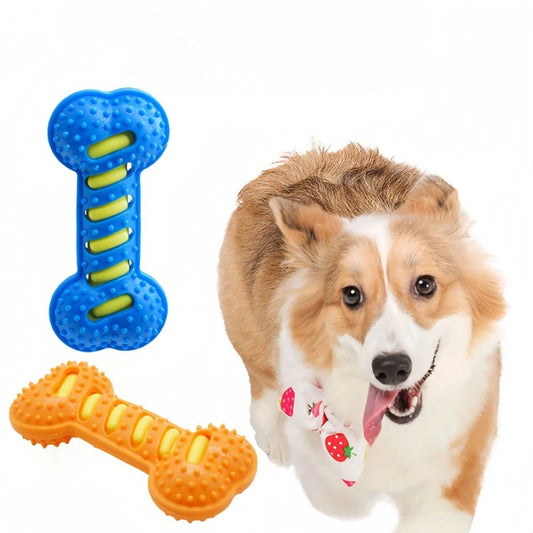 RubberRidge Chew™ | Textured Rubber Molar Stick Dog Toy | Dog Paw Clothing