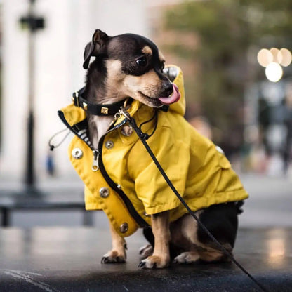 the PENNYWISE COAT - Fashion Raincoat for Dogs, Waterproof Raincoat Jacket Coat, Windproof for Small/Medium/Large Dogs Pet Fashion Clothes