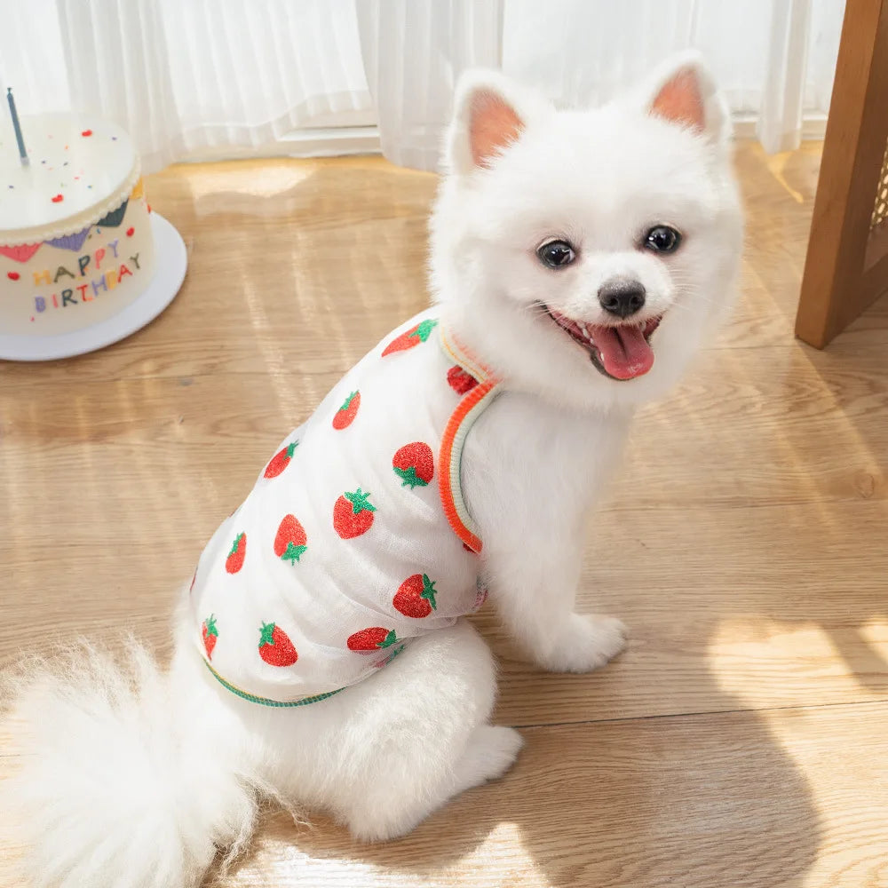 Pet Strap Sunscreen Vest Mesh Strawberries Dog Vests Dog Cat Clothing Supplies Thin Teddy Bear Colorful Dot Top Puppy Clothes