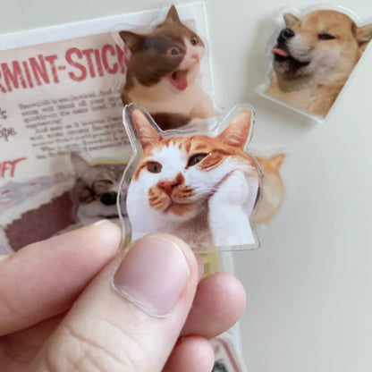 5pcs cute and Fun Cat Dog Refrigerator Magnets Creative Fridge Photo Message Magnet Decorative