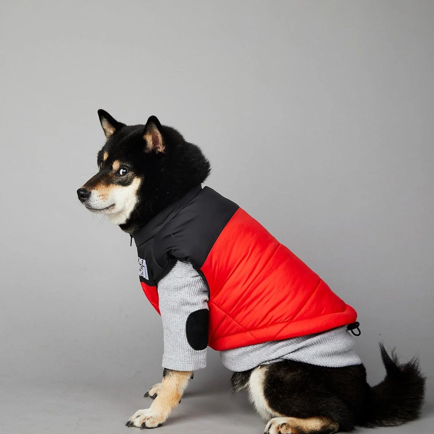 Dog Fans Punch Large Dogs Winter Warm Raincoat Anti Pet Cotton Clothing Windproof Rainproof Dog Coat