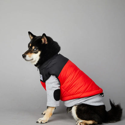 Dog Fans Punch Large Dogs Winter Warm Raincoat Anti Pet Cotton Clothing Windproof Rainproof Dog Coat