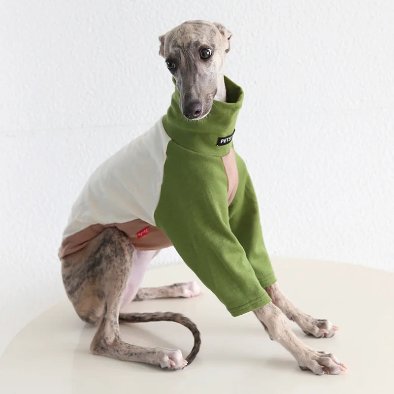 8colors Italian Greyhound Hound Two-Legged Clothes Fashionable Multicolor Soft Comfortable Elastic Fashion Patchwork Dog Clothes