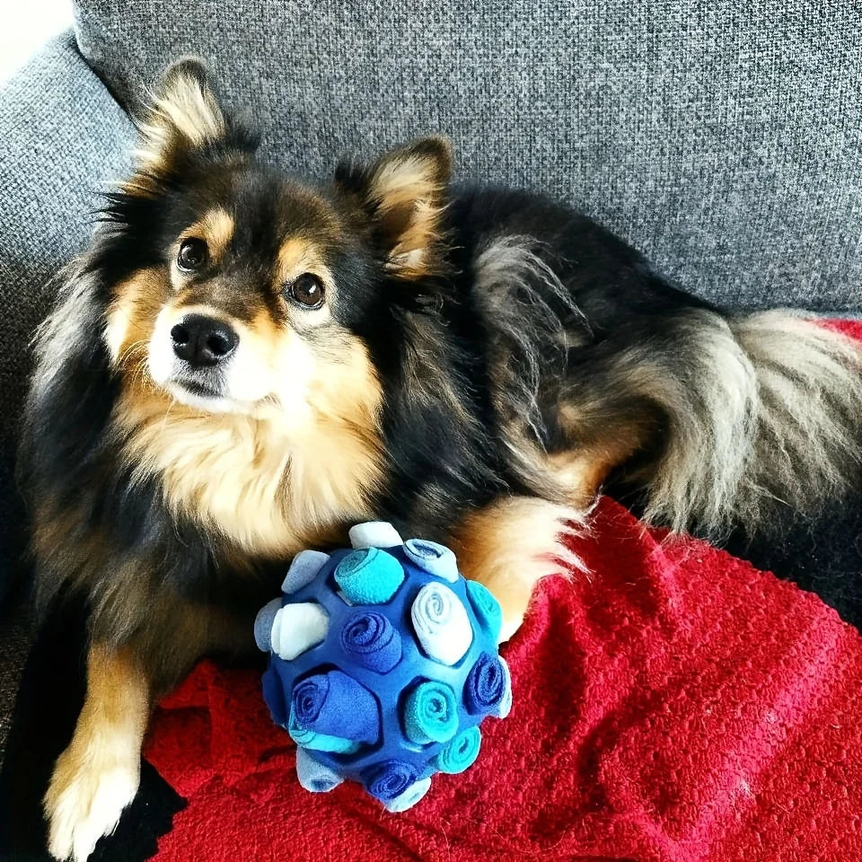 1pcs Interactive Dog Toy - Sniffing Ball for Hiding Treats - Rubber Puzzle Ball for Mental Stimulation Pet Supplies