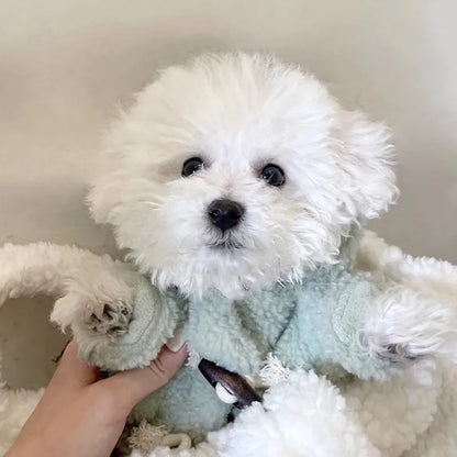 Dog Coat Winter Pet Jacket Button Warm Dog Clothes Chihuahua Bichon Clothing Girls Dog Costume Cat Clothing Puppy Sweatshirt