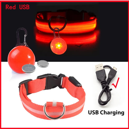 the LUXEGLOW LED SAFTERY COLLAR - USB Charging Glowing Dog Collar with Pendant, Detachable Luxury LED Light, Bright for Small Dogs/Cats, Night Safety Collar
