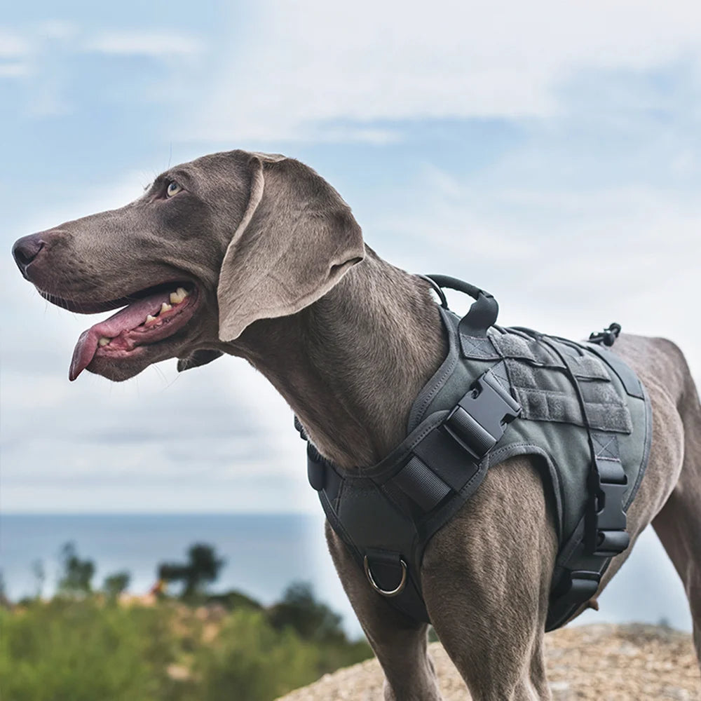 Heavy Duty Tactical Dog Harness, Military Nylon Dog Vest Adjustable Pet Vest for Large Dog Training Breathable Safety